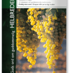 Guds ord om guddommelig helbredelse