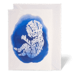 Dine øyne så meg (2600)