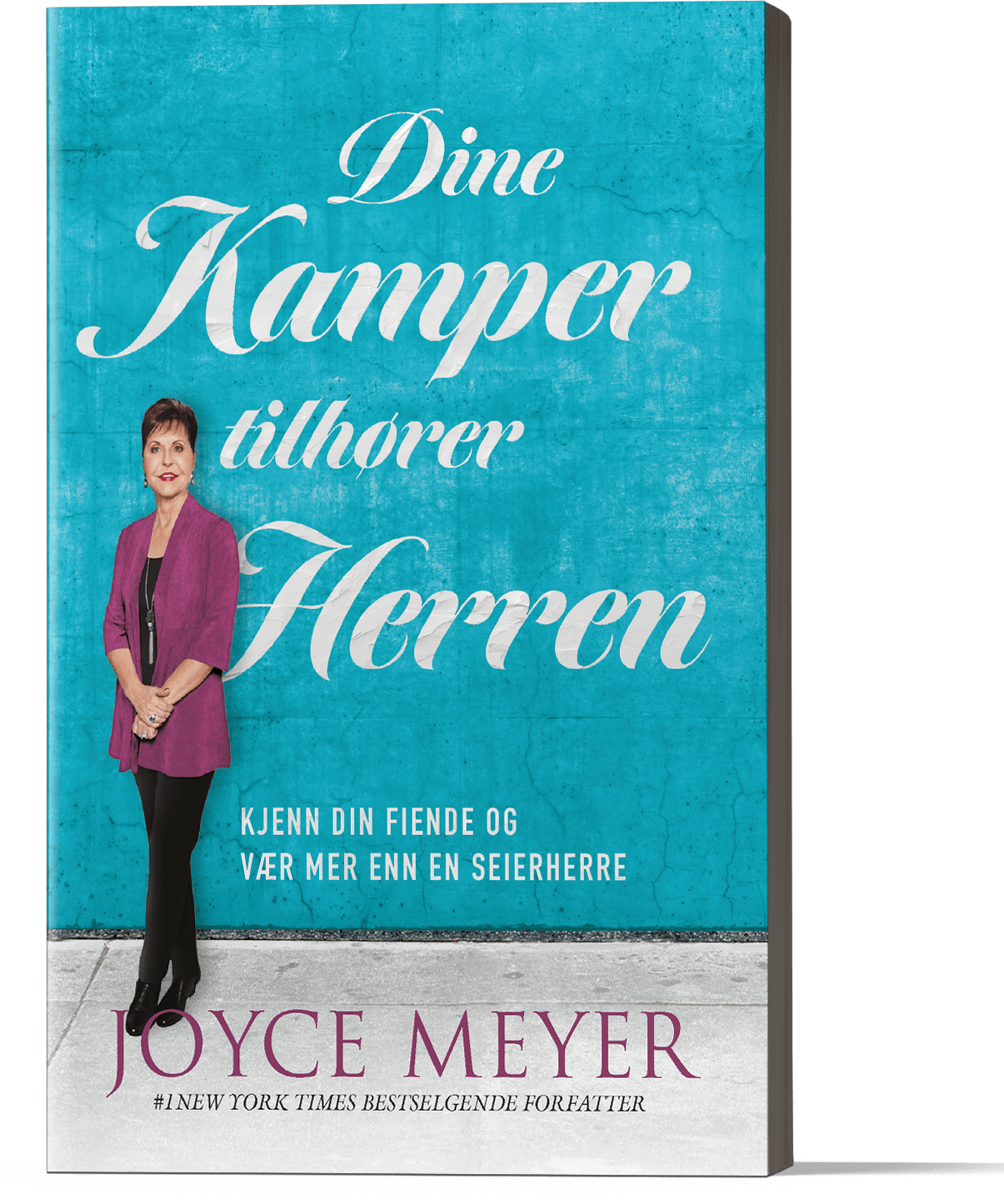 379_foran.png Dine kamper tilhører Herren - Bilde 1