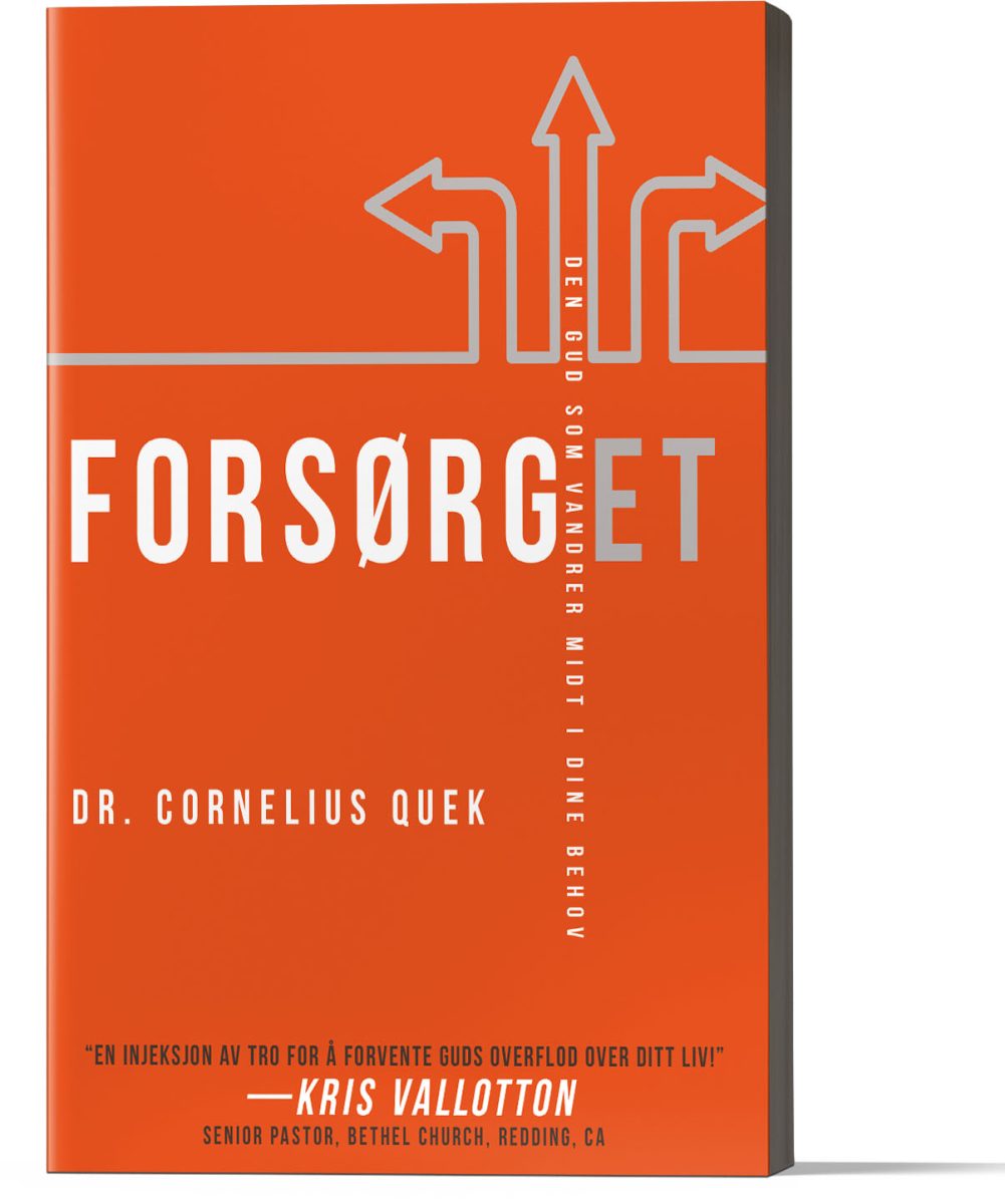 398_foran.jpg Forsørget - Bilde 1