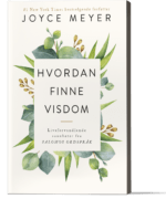 Hvordan finne visdom