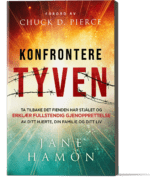 Konfrontere tyven