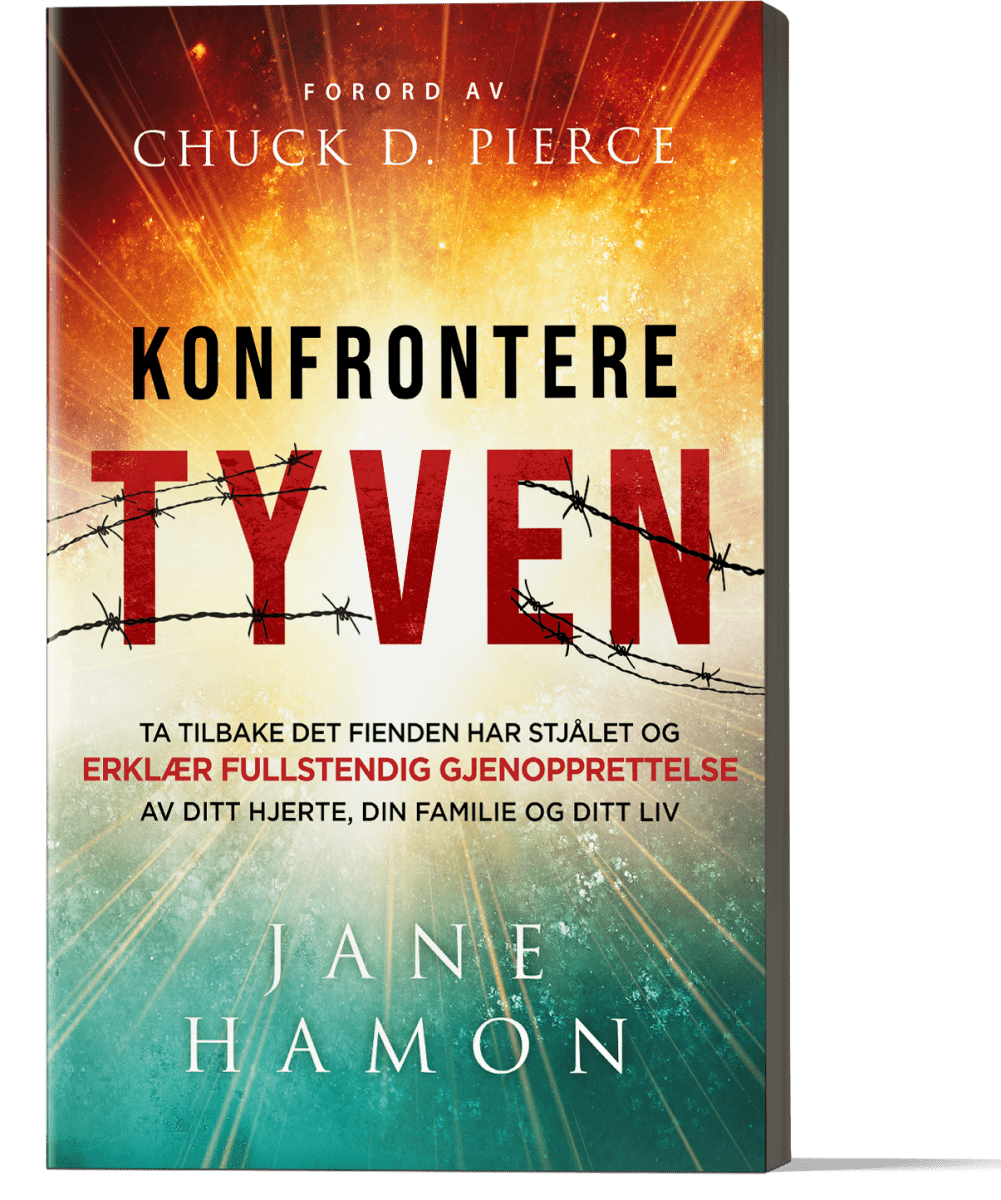 436_foran.png Konfrontere tyven - Bilde 1