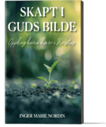 Skapt i Guds bilde