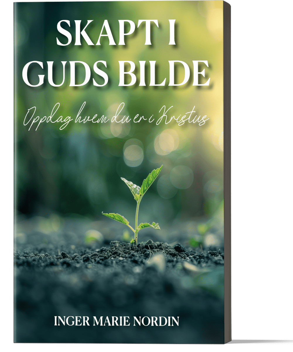 442_foran.png Skapt i Guds bilde - Bilde 1